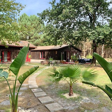 Hacienda De La Canopee Avec Piscine Chauffee Au Sel Hourtin Exterior foto