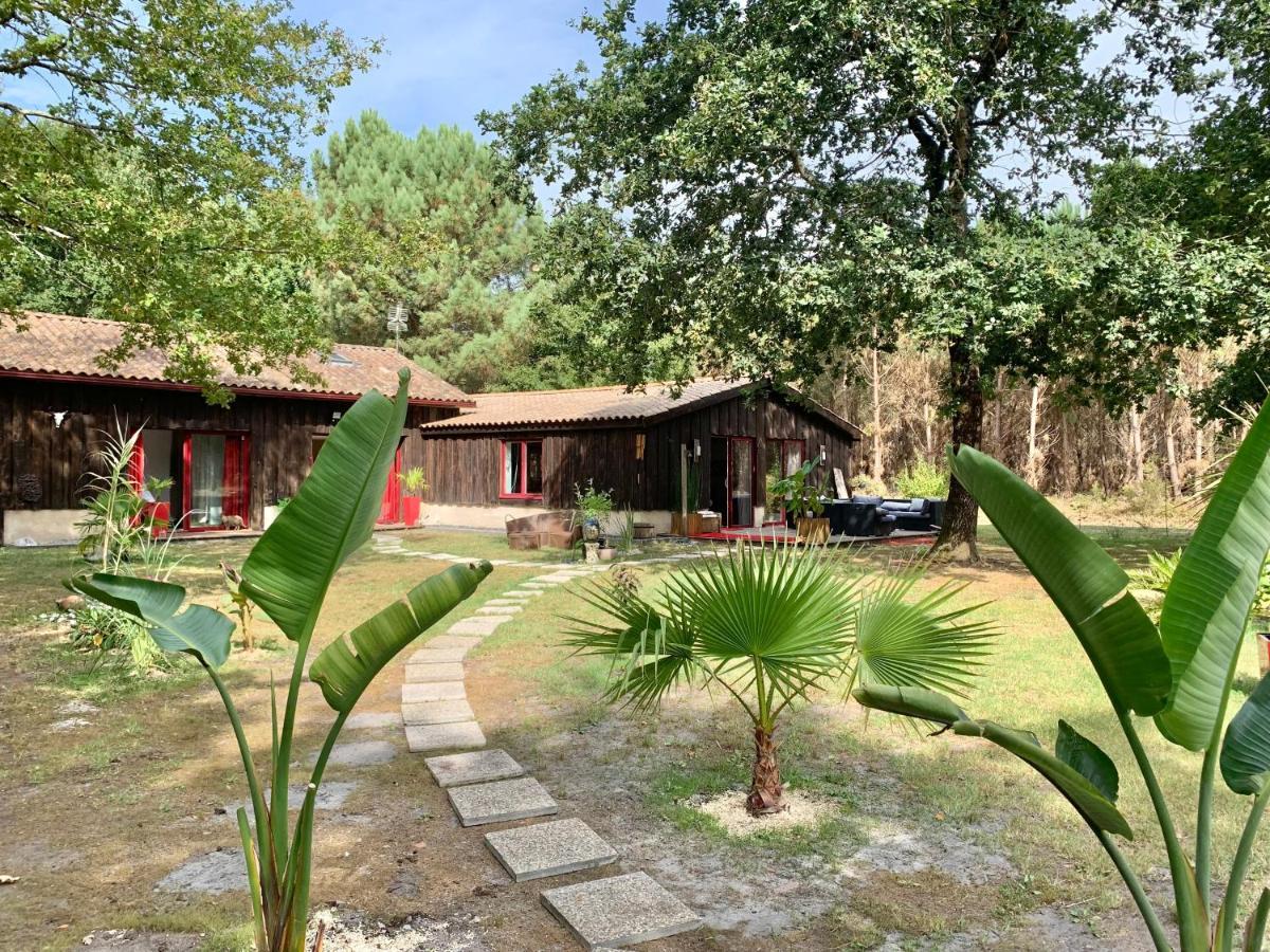 Hacienda De La Canopee Avec Piscine Chauffee Au Sel Hourtin Exterior foto